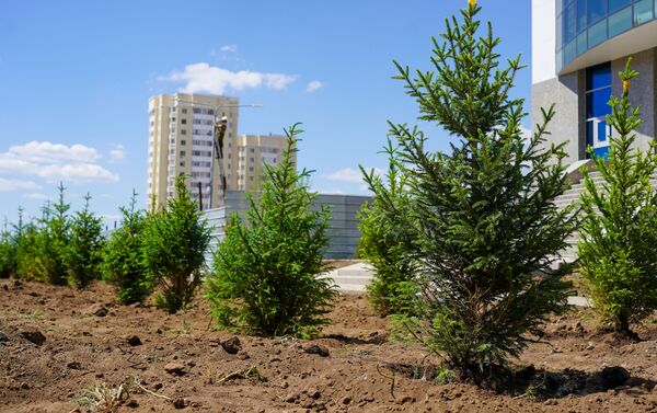 Глава Союза строителей призвал коллег принять зеленый вызов и создать в столице больше профессиональных природных уголков - Sputnik Казахстан