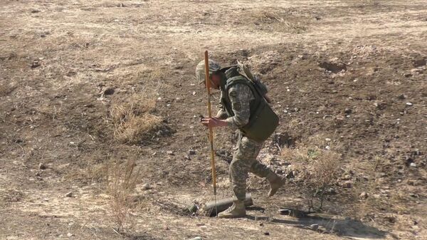 Пятьдесят групп саперов обнаружили 2500 предметов армейского образца в Арыси Пятьдесят групп саперов обнаружили 2500 предметов армейского образца в Арыси - Sputnik Казахстан