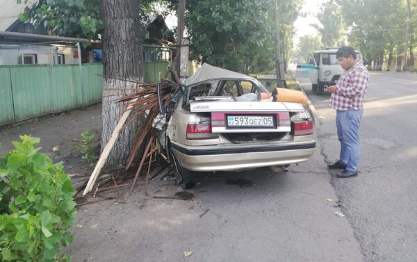Автомобиль врезался в столб и снес дерево - Sputnik Казахстан