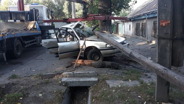 Автомобиль врезался в столб и снес дерево - Sputnik Казахстан