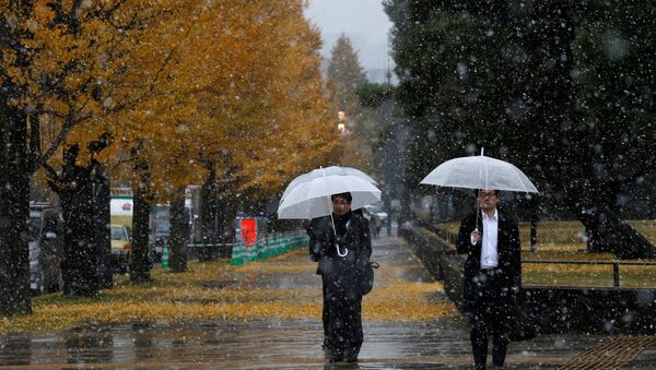 Мужчины в парке во время аномального снегопада в Токио - Sputnik Казахстан