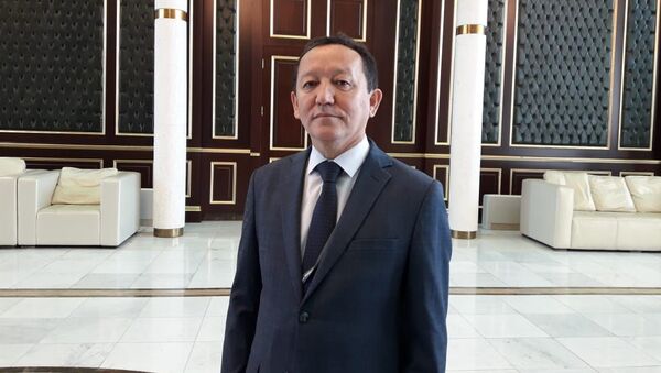 Председатель правления международного аэропорта Нурсултан Назарбаев Радильбек Адимолда - Sputnik Казахстан