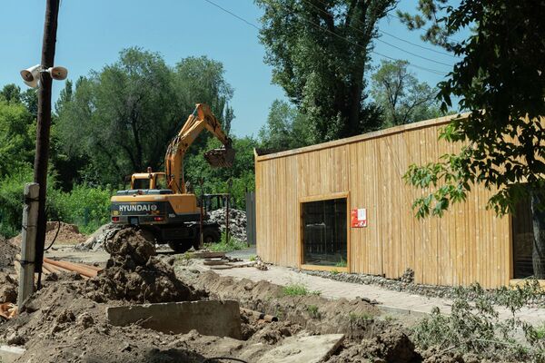 Две львицы и жираф: почему гибнут животные в зоопарке Алматы - Sputnik Казахстан