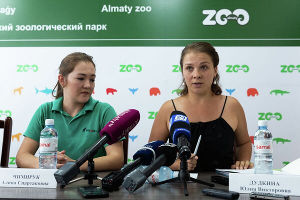 Две львицы и жираф: почему гибнут животные в зоопарке Алматы - Sputnik Казахстан