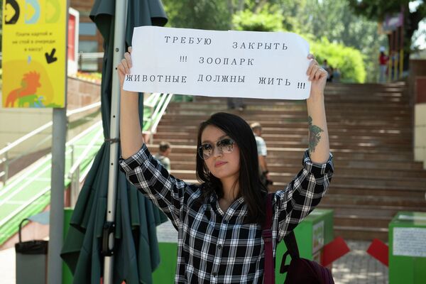 Две львицы и жираф: почему гибнут животные в зоопарке Алматы - Sputnik Казахстан