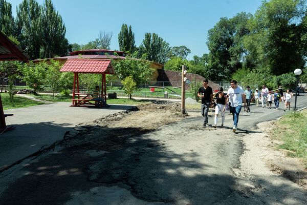 Две львицы и жираф: почему гибнут животные в зоопарке Алматы - Sputnik Казахстан