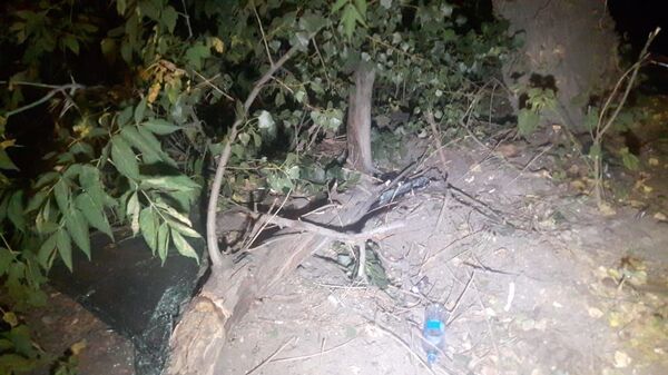 Водитель вдребезги разбил иномарку, взятую напрокат в Алматы - Sputnik Казахстан