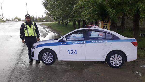 Муляжи полицейских авто на трассах в ВКО - Sputnik Казахстан
