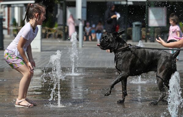 Девочка играет с собакой в фонтане в жаркий день в Брюсселе - Sputnik Казахстан