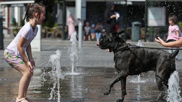 Девочка играет с собакой в фонтане в жаркий день в Брюсселе - Sputnik Казахстан
