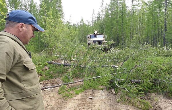 Работа по ликвидации последствий лесных пожаров в Якутии - Sputnik Казахстан