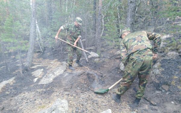 Тушение лесного пожара в Баянауле - Sputnik Казахстан