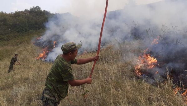 Степной пожар в Алматинской области, архивное фото - Sputnik Казахстан