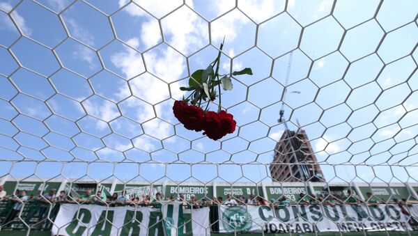 Цветок в память о погибших футболистах команды Шапекоэнсе - Sputnik Казахстан