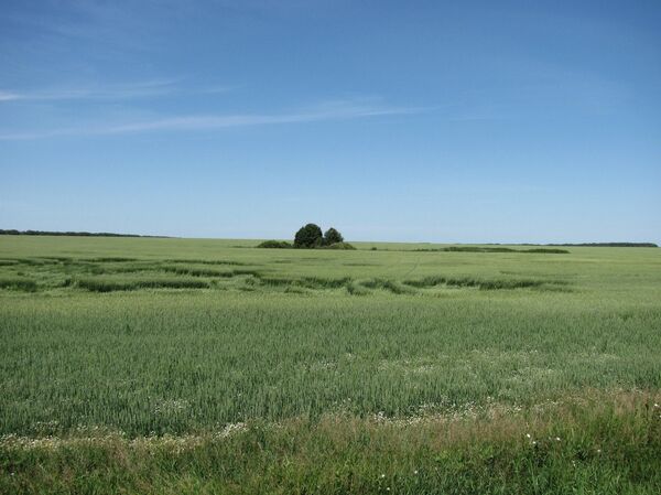 Загадочные круги на полях появились на севере Казахстана Загадочные круги на полях появились на севере Казахстана - Sputnik Казахстан