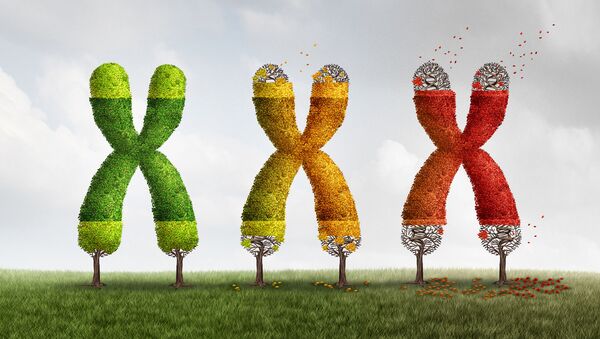 3-D иллюстация с изображением хромосомов, чьи теломеры постепенно укорачиваются - Sputnik Казахстан