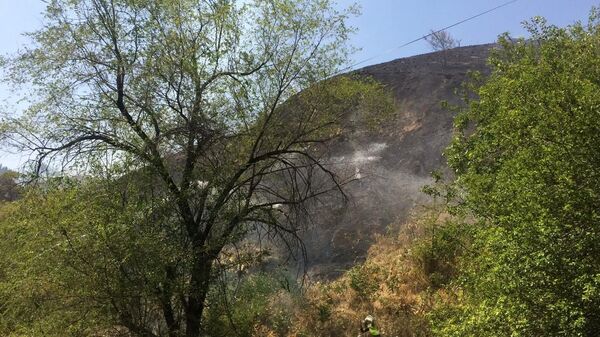 Возгорание сухой травы на юго-западном склоне горы на Кок-Тобе в Медеуском районе - Sputnik Қазақстан
