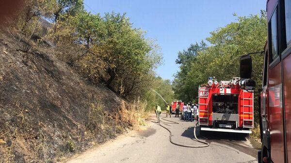 В Алматы вновь горел Кок-Тобе - фото - Sputnik Казахстан