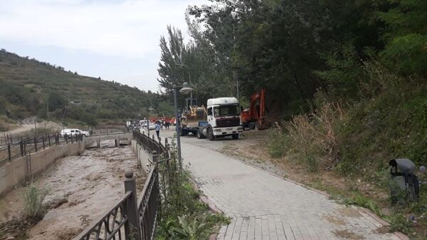 Угроза селя в Алматы: русло реки Каргалы стабилизировалось - Sputnik Казахстан