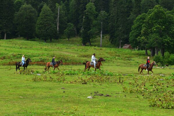 Туристы на лошадях в Рицинском реликтовом национальном парке в Абхазии - Sputnik Казахстан