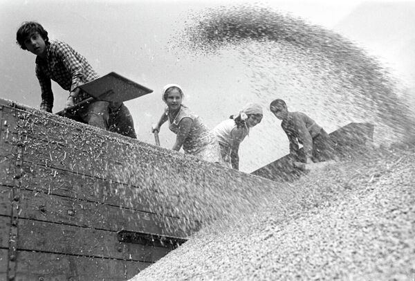 Школьники помогают сушить зерно в колхозе Красное Знамя Свердловского района Орловской области - Sputnik Казахстан