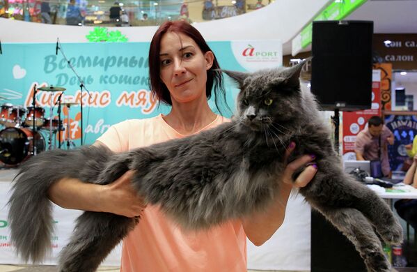 Выставка кошек редких пород - Sputnik Казахстан