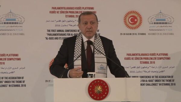 Эрдоган назвал свержение Асада целью Турции в Сирии - Sputnik Казахстан