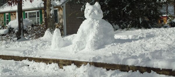 Снег, зима - Sputnik Казахстан