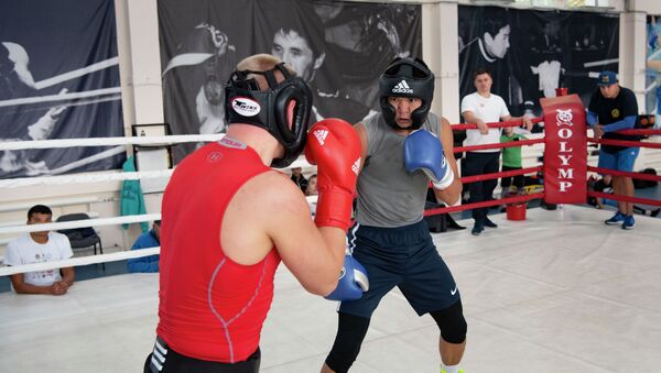 Боксеры на тренировке - Sputnik Казахстан