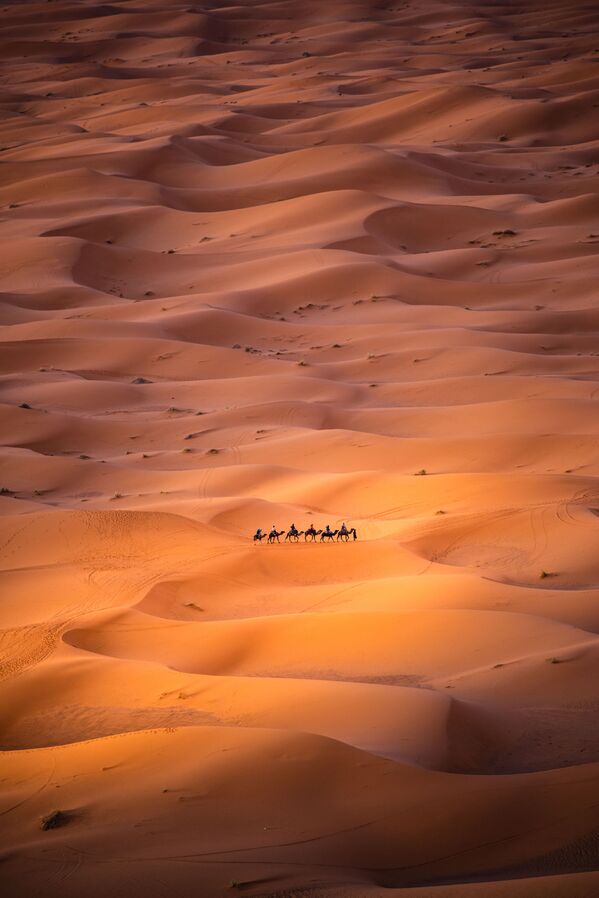 Снимок Alone in the desert испанского фотографа Carles Alonso, представленный на фотоконкурсе AGORA Awards 2019 - Sputnik Казахстан