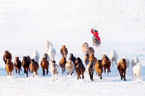 Снимок Snow Horseman фотографа из Мьянмы Zay Yar Lin, представленный на фотоконкурсе AGORA Awards 2019 - Sputnik Казахстан