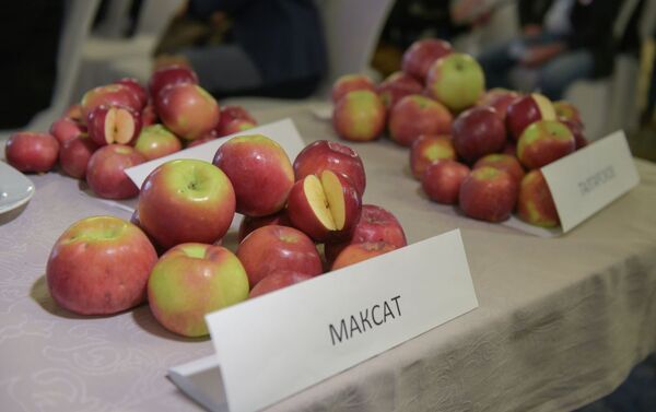 Сорт яблонь Максат включен в Государственный реестр селекционных достижений, допущенных к использованию в Казахстане - Sputnik Казахстан