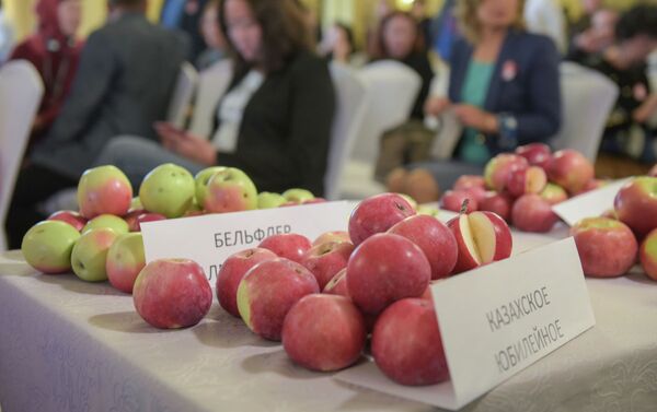 Казахстанские ученые путем скрещивания апорта  с современными интенсивными сортами вывели ряд ценных сортов яблок - Sputnik Казахстан