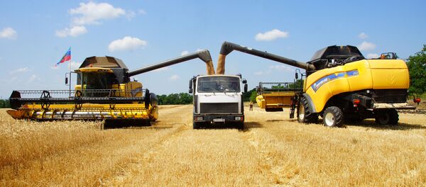 Уборка пшеницы Уборка пшеницы - Sputnik Казахстан