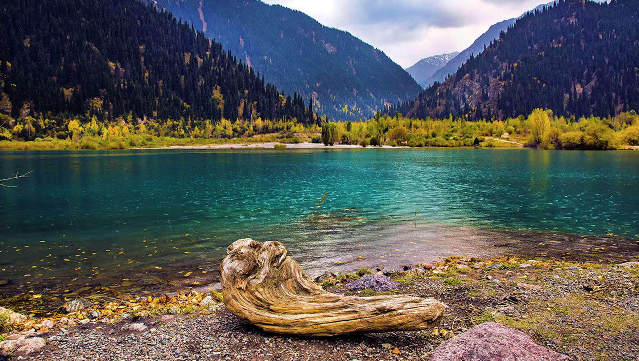 таңғажайып текст