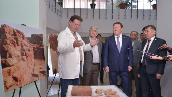 Сенсационное открытие археологов в СКО - Sputnik Казахстан