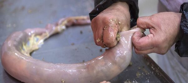 Приготовления шужыка Приготовления шужыка - Sputnik Казахстан