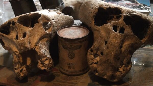 Загадка Третьего Рейха: в горах Адыгеи найдены загадочные черепа - Sputnik Казахстан
