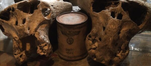 Загадка Третьего Рейха: в горах Адыгеи найдены загадочные черепа - Sputnik Казахстан