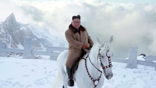 Глава КНДР Ким Чен Ын поднялся на белом коне на самую высокую точку Корейского полуострова - гору Пэктусан - Sputnik Казахстан