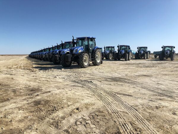 Деревья вместо песков: когда Приаралье зарастет лесами - Sputnik Казахстан