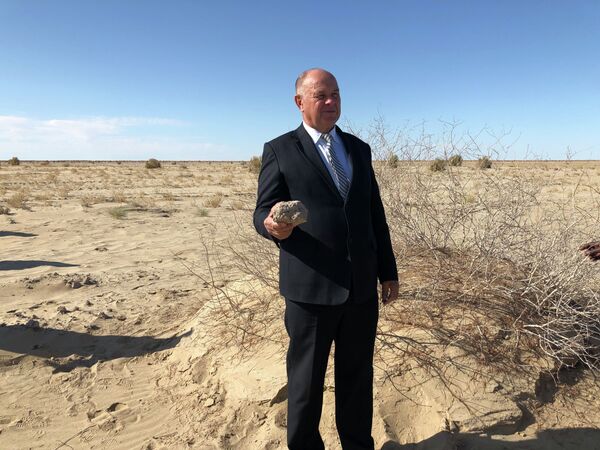 Деревья вместо песков: когда Приаралье зарастет лесами - Sputnik Казахстан