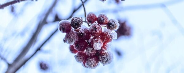 Мороз - Sputnik Казахстан