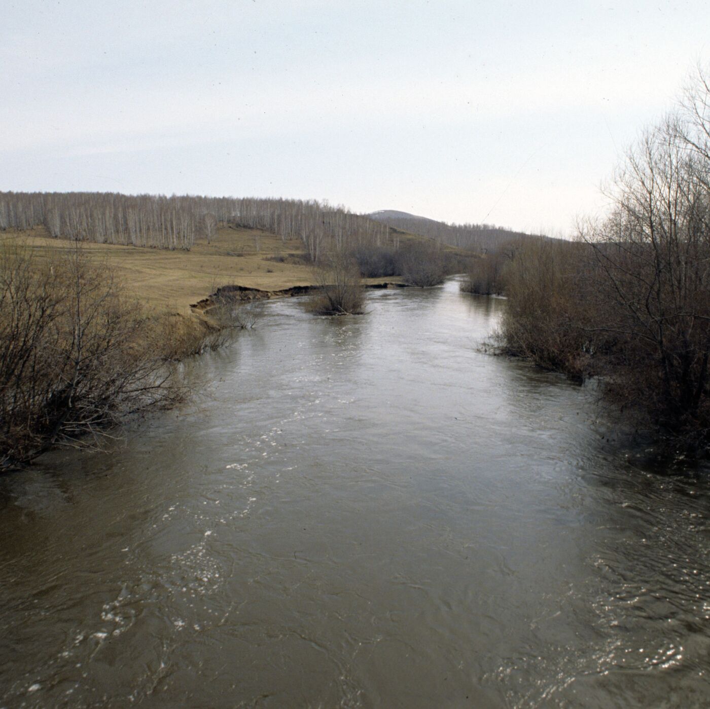 Жүк көтергіштегі есекпен жыныстық қатынас ДПМашный секс