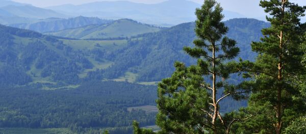 Природа Алтая, архивное фото - Sputnik Казахстан