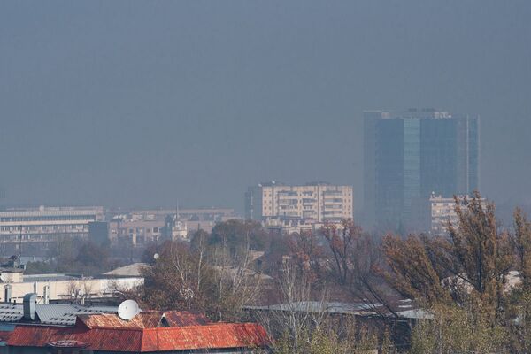 Смог в Алматы: горожане пугают друг друга мрачными фото - Sputnik Казахстан
