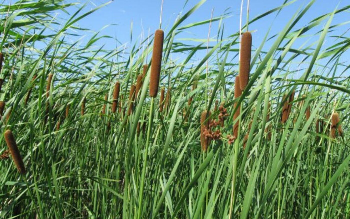 Жеке порно Тайшет Фильмдер, секс, эротика және нердтер