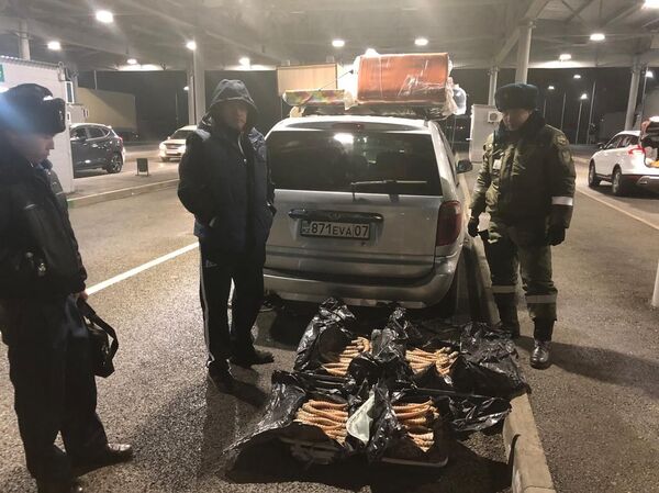 Сайгачьи рога на полмиллиарда тенге изъяли на границе Казахстана и России - Sputnik Казахстан