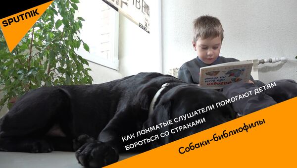 Как лохматые слушатели помогают детям бороться со страхами - видео - Sputnik Казахстан