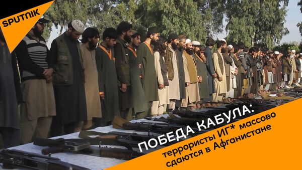 Победа Кабула: террористы ИГ* массово сдаются в Афганистане - видео - Sputnik Казахстан